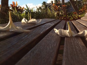 Sunrise on Kauai